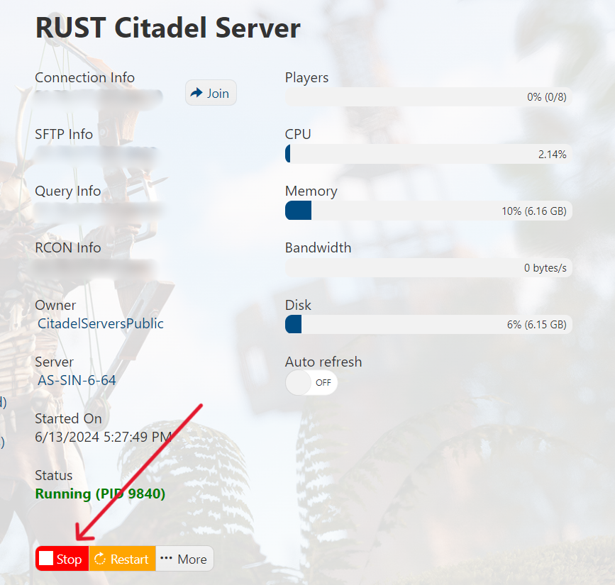 Rust - Stop Server