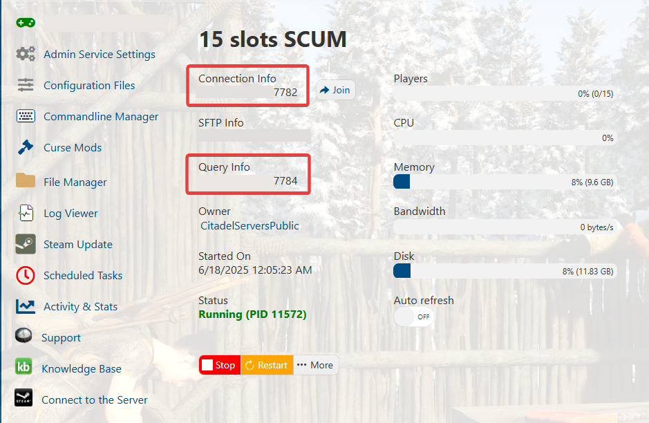 scum-connection-info-and-query-info.png