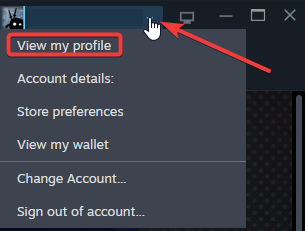 finding-your-steamid-steam-profile.png