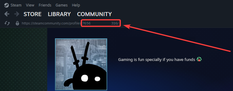 finding-your-steamid-steam-profile-steam-url.png