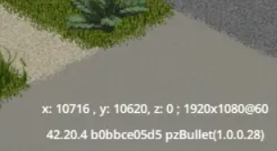 Displaying In-Game Coordinates 2