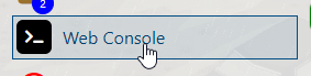 Web Console button