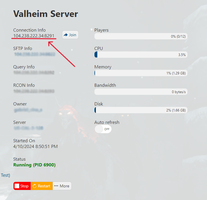 Valheim - Connection Info
