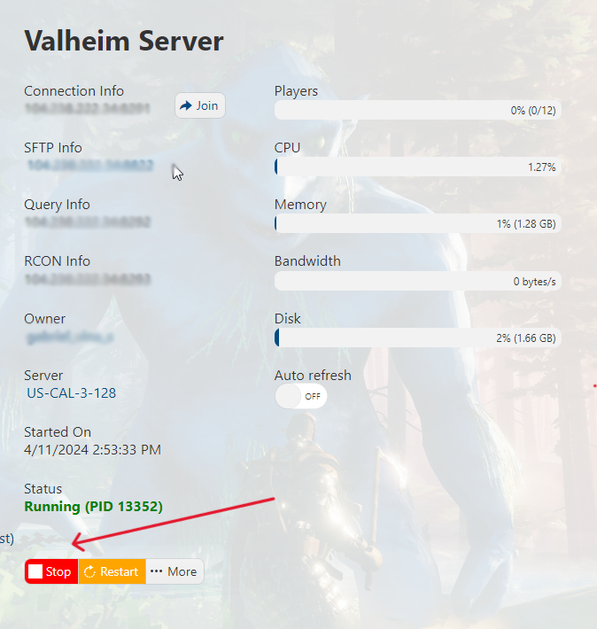 Valheim - Stop Server