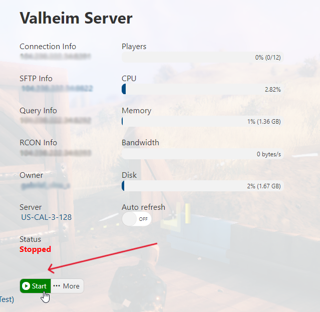Valheim - Start Server