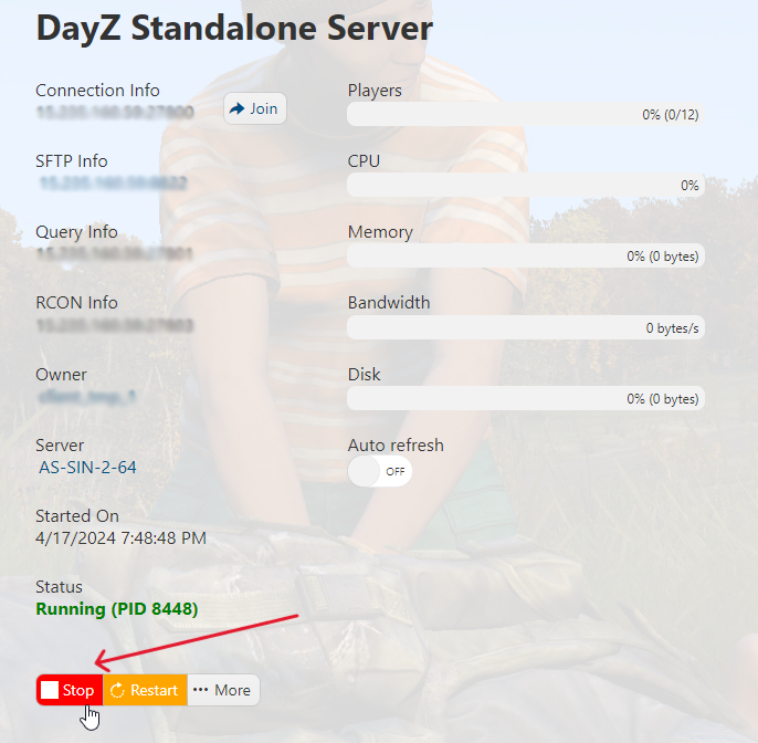 DayZ - Stop Server