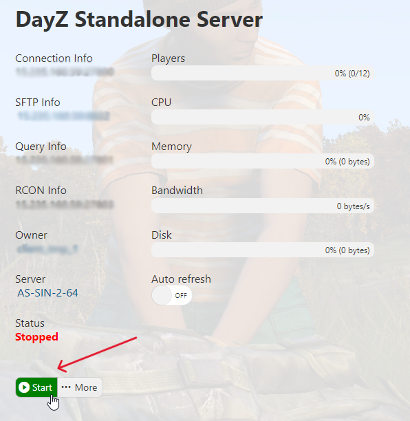 DayZ - Start Server