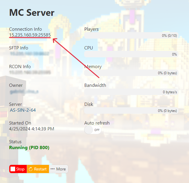 Minecraft - Connection Info