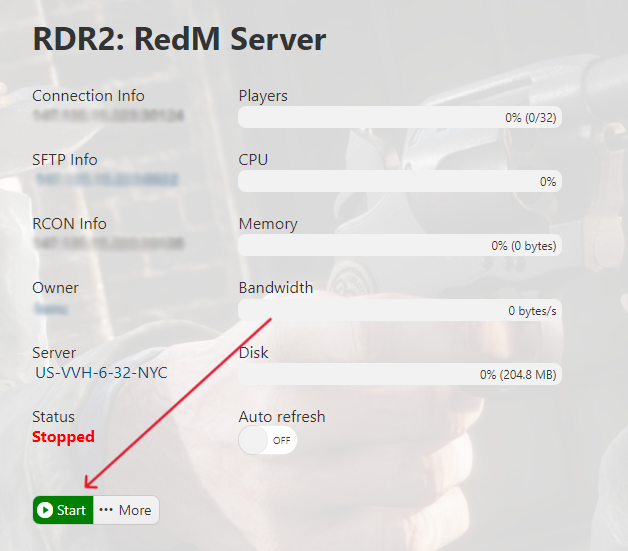 RedM - Start Server