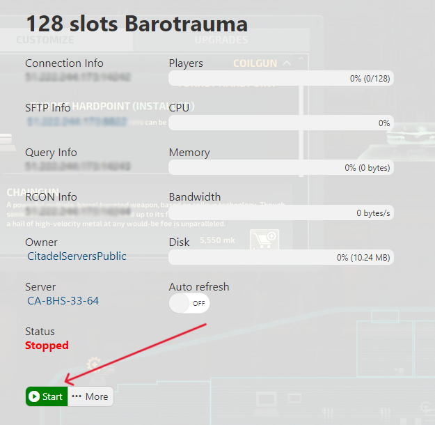 Barotrauma - Start Server
